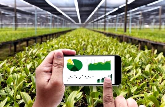 Master of Business - Agribusiness